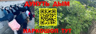 шишки Ипатово